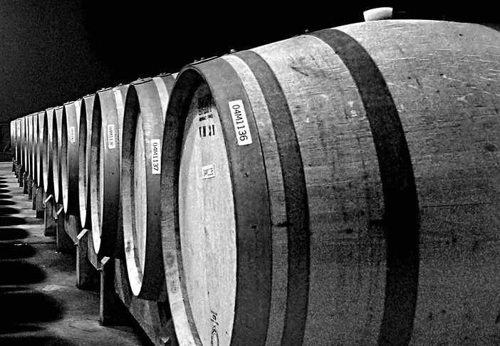 Fila de barricas de roble en la sala de crianza, en blanco y negro