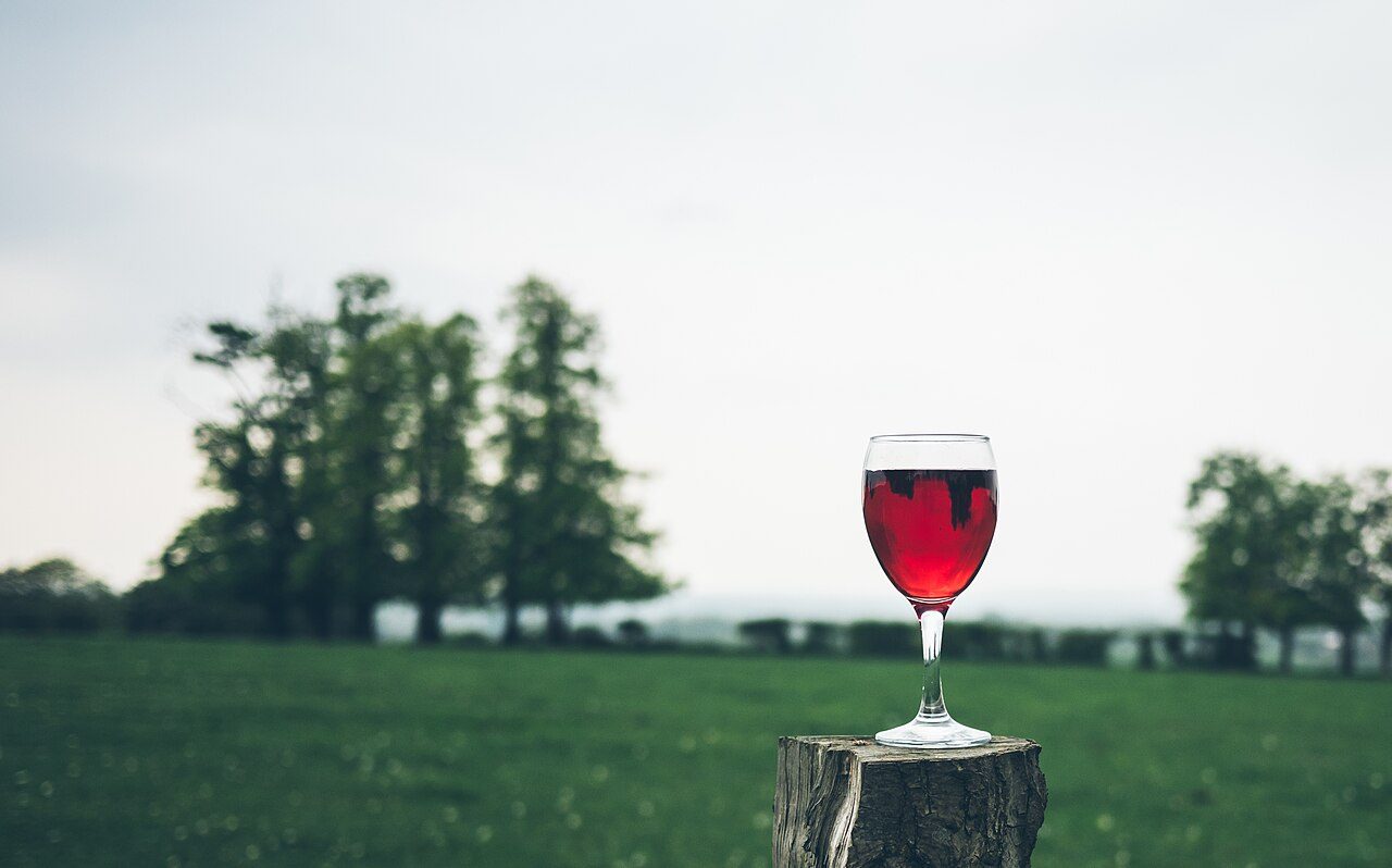 Copa de vino servida al aire libre, en el campo junto al viñedo