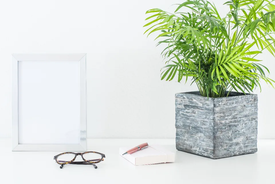Marco vacío, gafas, una libreta y una planta sobre una mesa blanca, composición minimalista de papelería